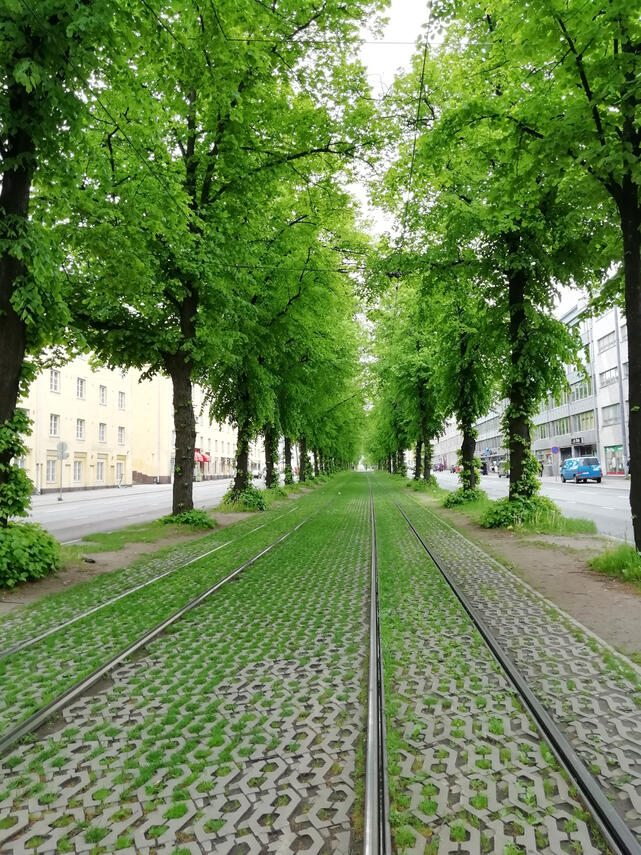 Nature and urbanization 2020