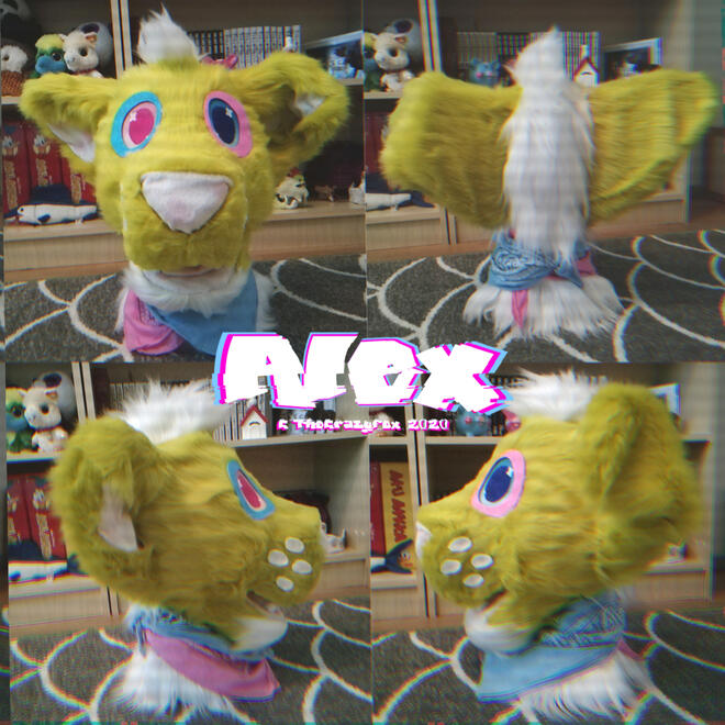 Alex fursuit head [2020]