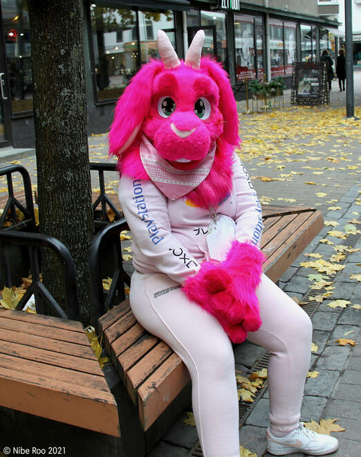 Kiley Henderson Partial Fursuit [2020-2021]