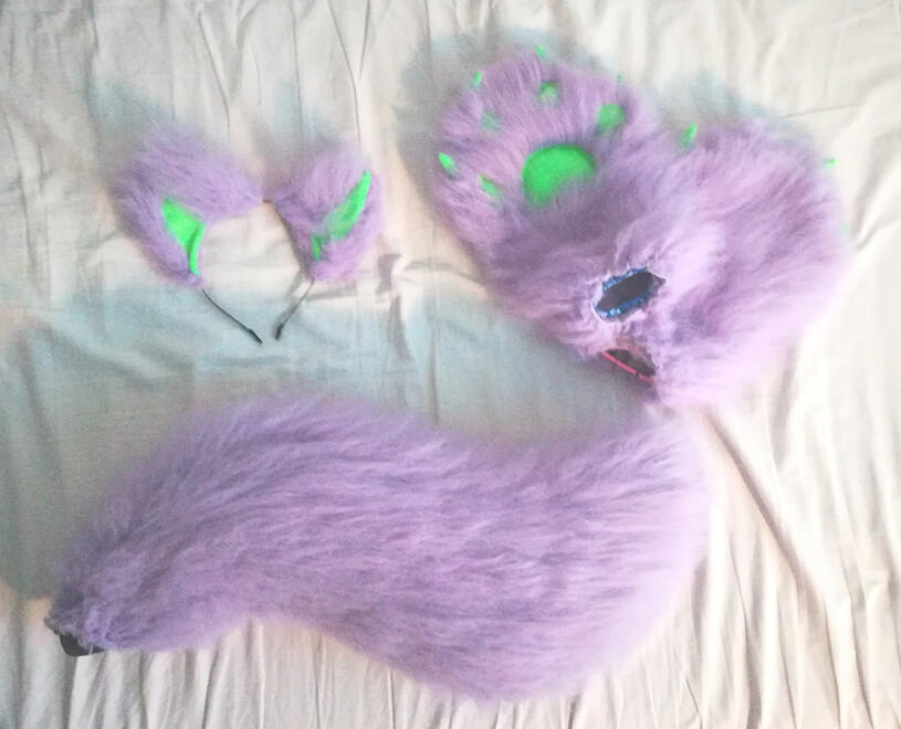 Ears,paws,tail set [2018]